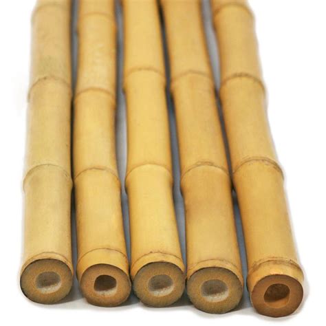 bamboo depot|where to buy bamboo sticks.